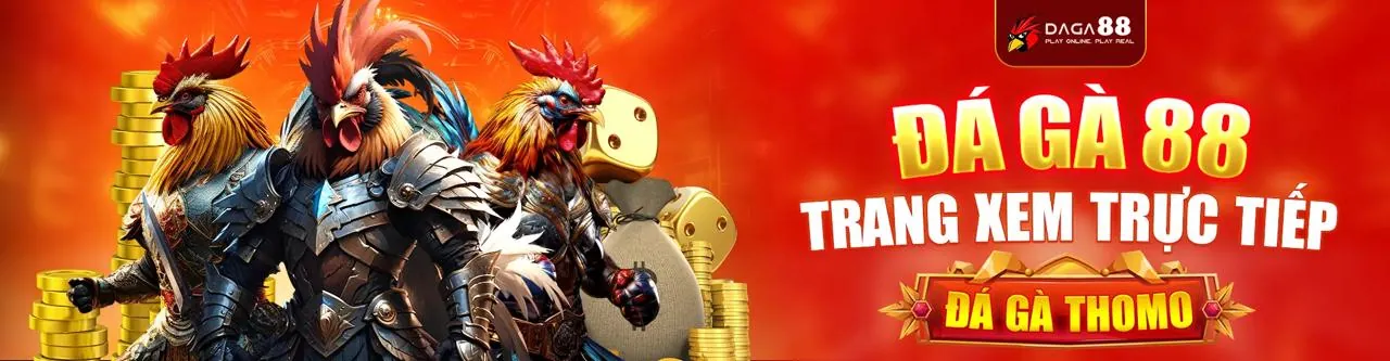 Đá gà trực tuyến tại xn888 link mới 2026